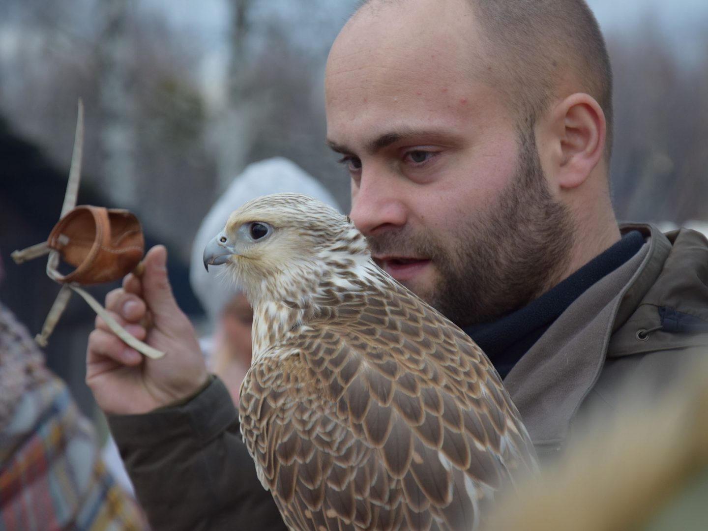 Sokolnictwo, czy to dla mnie?