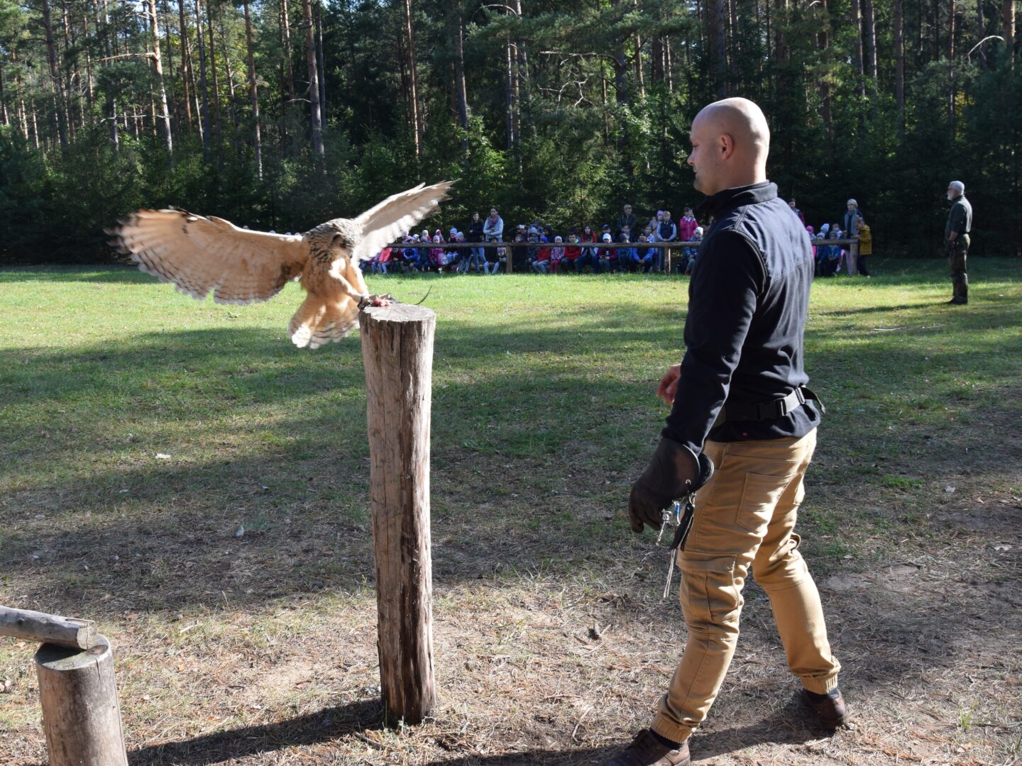 Sokolnicy na medal!